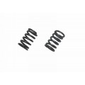 RS100 Chrome Silicon Steel Alloy Valve Spring